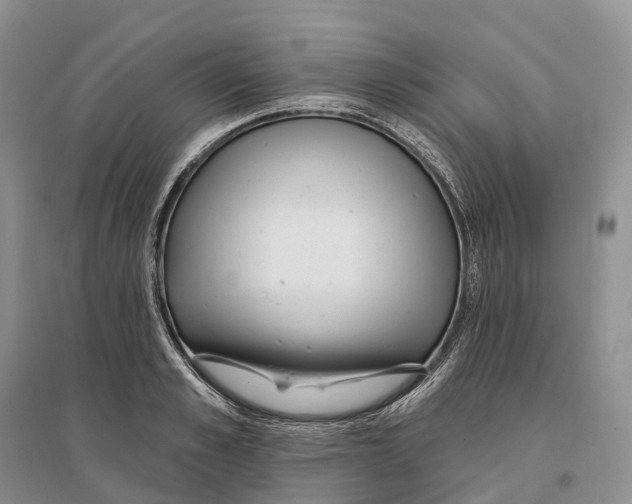 X0000096720989200802261649