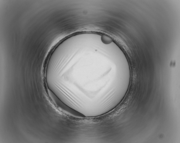 X0000096720990200802261649