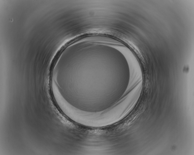 X0000096720992200802261649