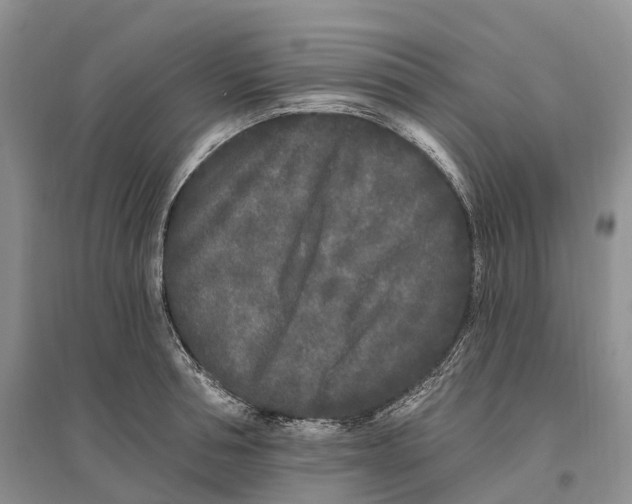 X0000096720994200802261649