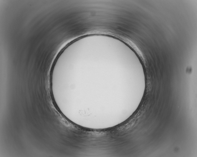 X0000096720996200802261649