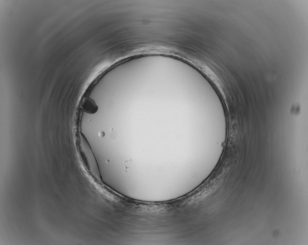 X0000096720997200802261649