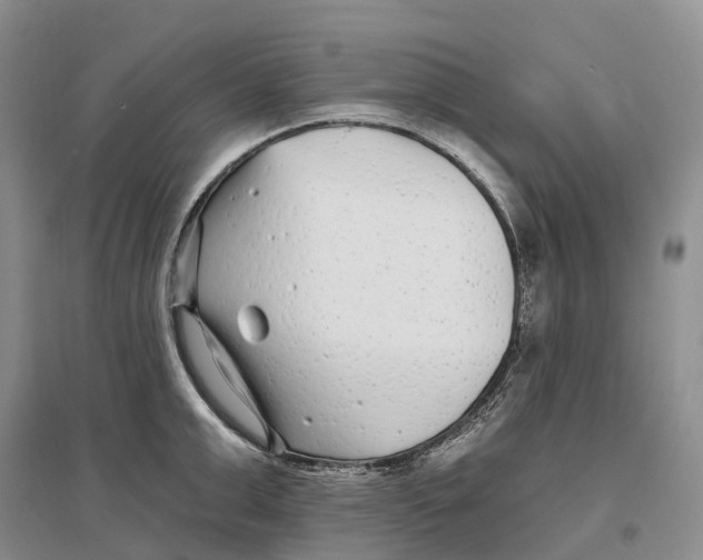 X0000096720999200802261649