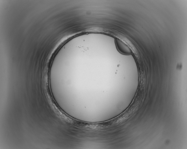 X0000096721000200802261649