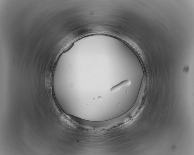 X0000096721001200802261649