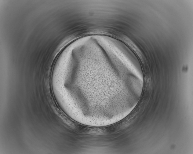 X0000096721002200802261649