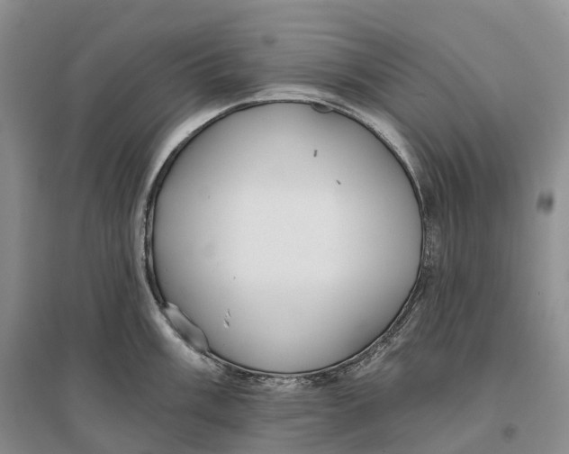 X0000096721003200802261649