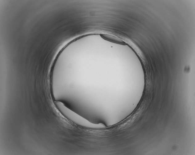 X0000096721004200802261649