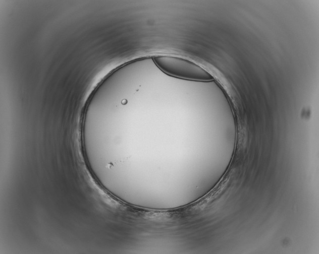 X0000096721006200802261649