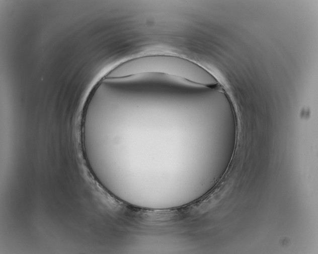 X0000096721008200802261649