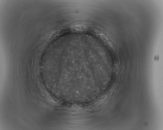 X0000096721009200802261648