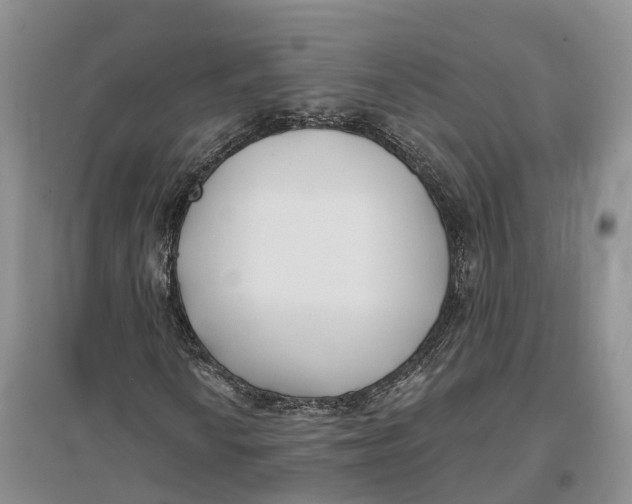 X0000096721010200802261648