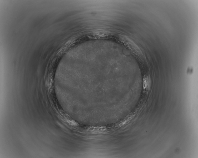 X0000096721011200802261648