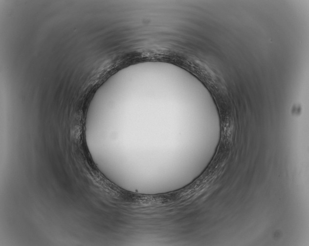 X0000096721012200802261648