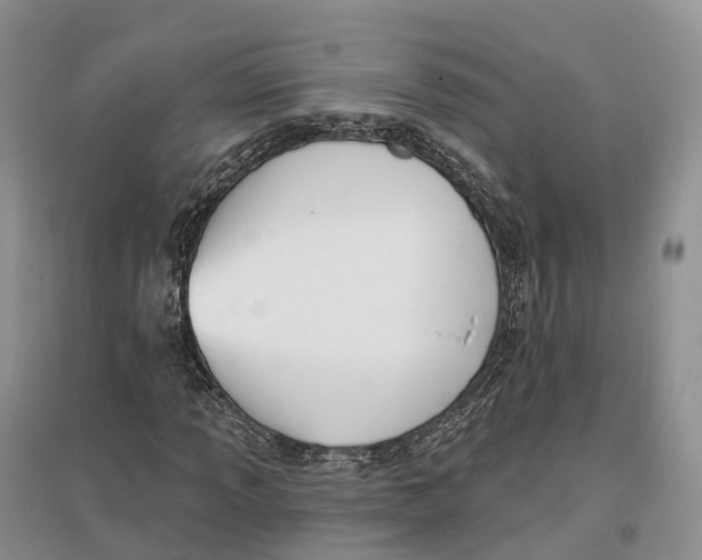 X0000096721013200802261648