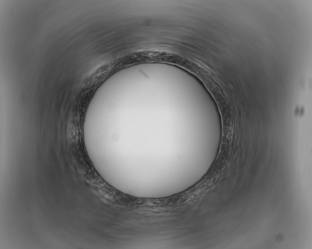 X0000096721014200802261648