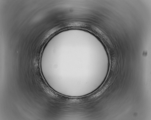 X0000096721017200802261648