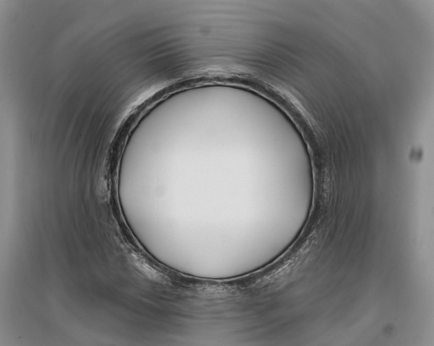 X0000096721018200802261648