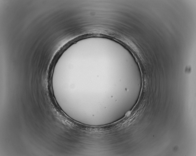 X0000096721020200802261648