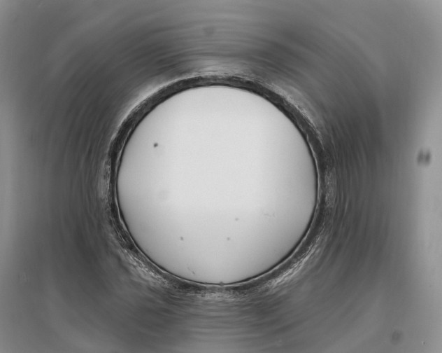 X0000096721021200802261648