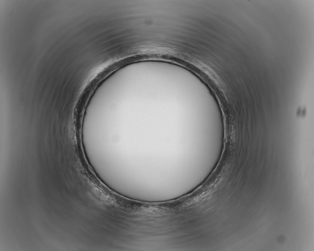 X0000096721022200802261648