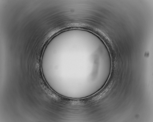 X0000096721025200802261648