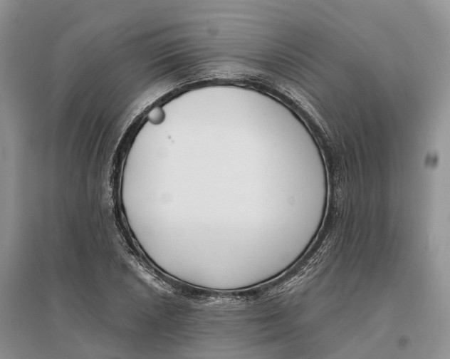 X0000096721026200802261648