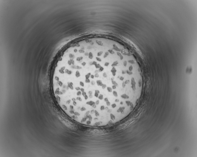 X0000096721027200802261648