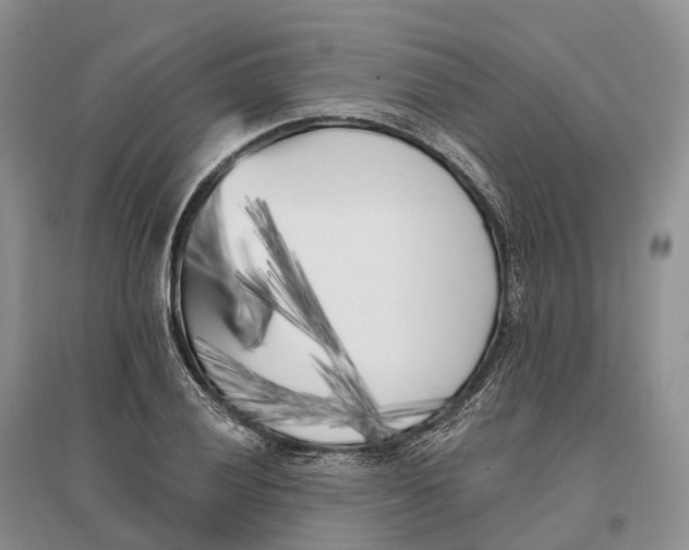 X0000096721028200802261648