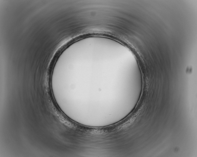 X0000096721029200802261648