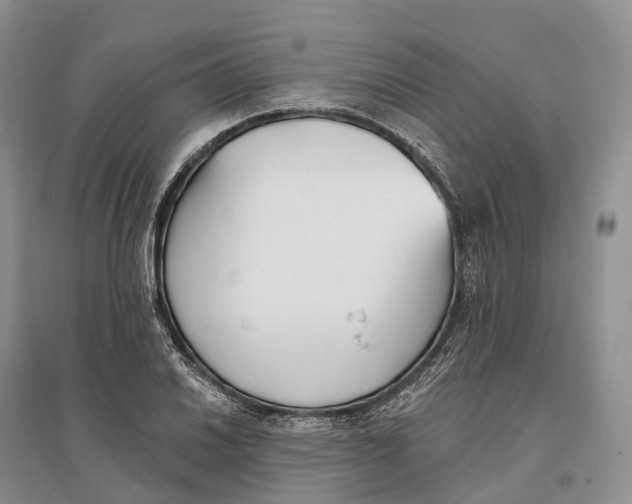 X0000096721030200802261648