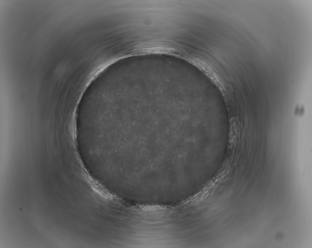 X0000096721031200802261648