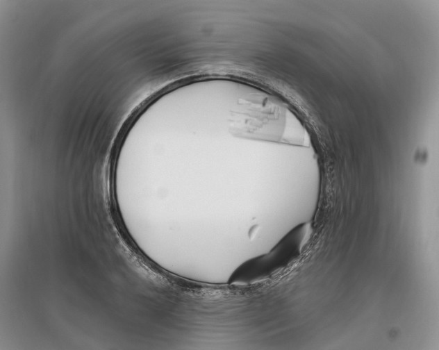 X0000096721032200802261648