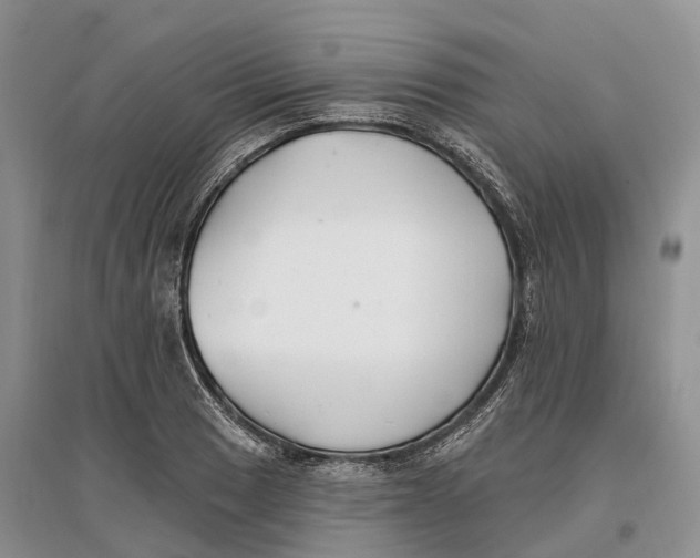 X0000096721033200802261648