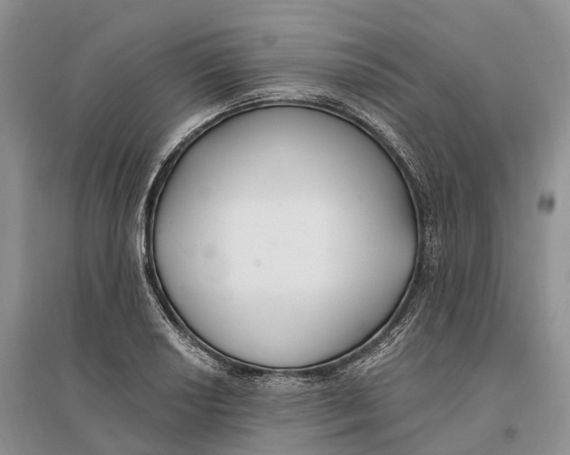 X0000096721034200802261648