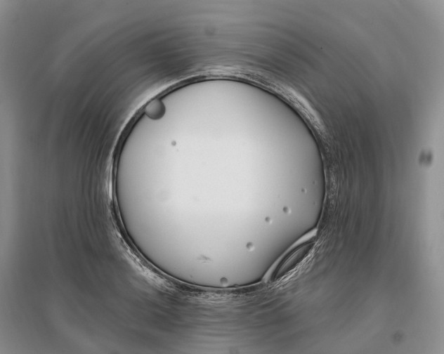 X0000096721036200802261648