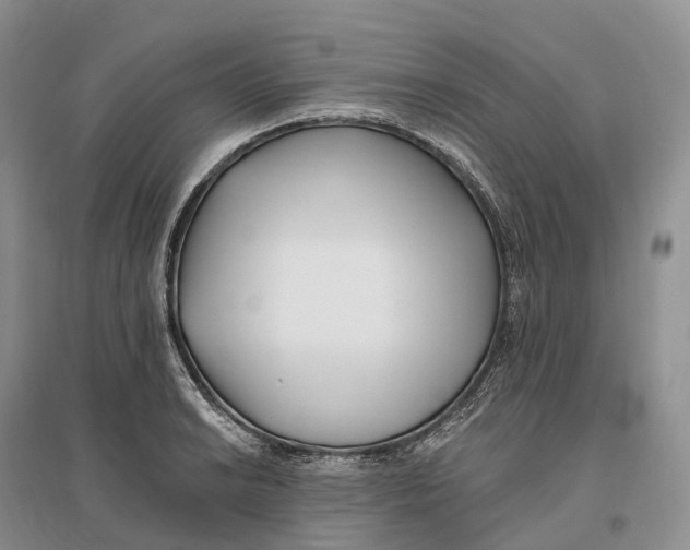 X0000096721038200802261648