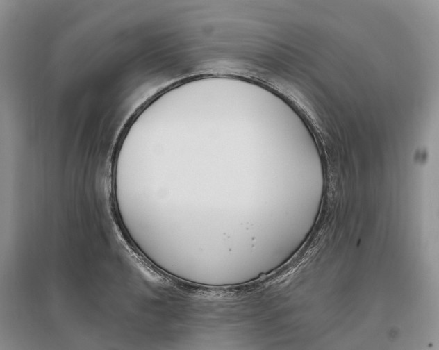 X0000096721040200802261648