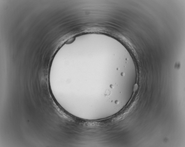 X0000096721041200802261648