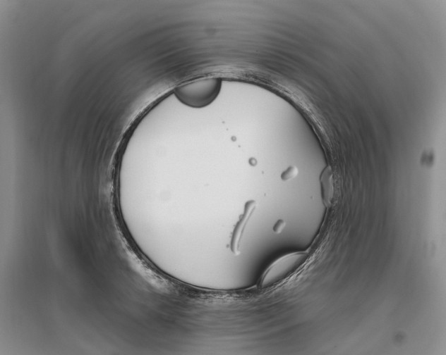 X0000096721042200802261648