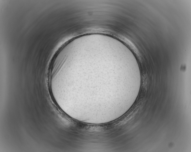 X0000096721043200802261648