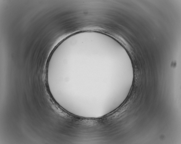 X0000096721044200802261648