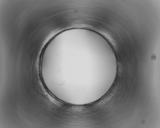 X0000096721046200802261648