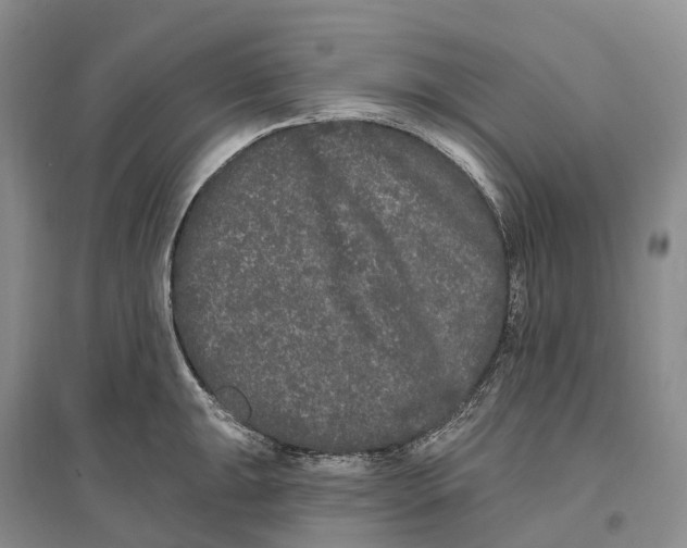 X0000096721047200802261649