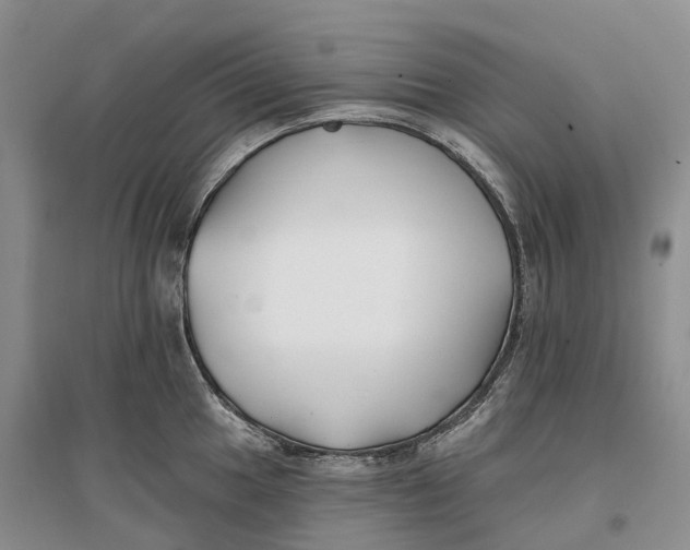 X0000096721049200802261649