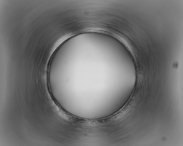 X0000096721050200802261649