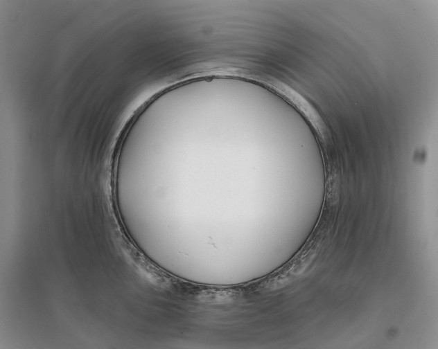 X0000096721051200802261649