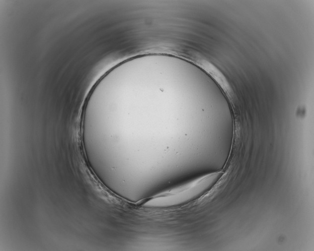 X0000096721052200802261649