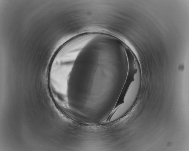 X0000096721053200802261649