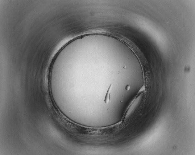 X0000096721054200802261649